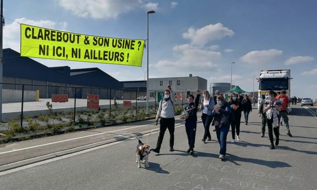 Les pommes de terre de la colère