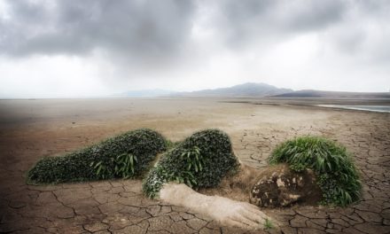 Contribution à l’élaboration d’un programme écosocialiste dans le cadre de la nécessaire réduction de la production matérielle globale