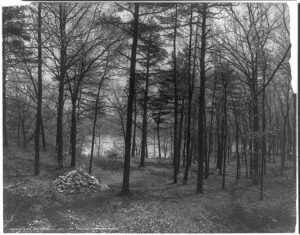 Thoreau