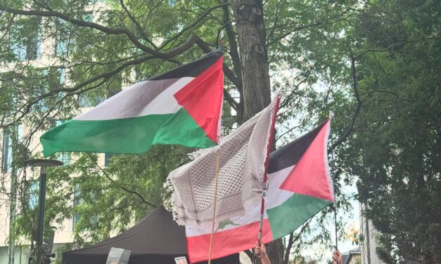 A propos du débat sur la Palestine au conseil communal de Charleroi