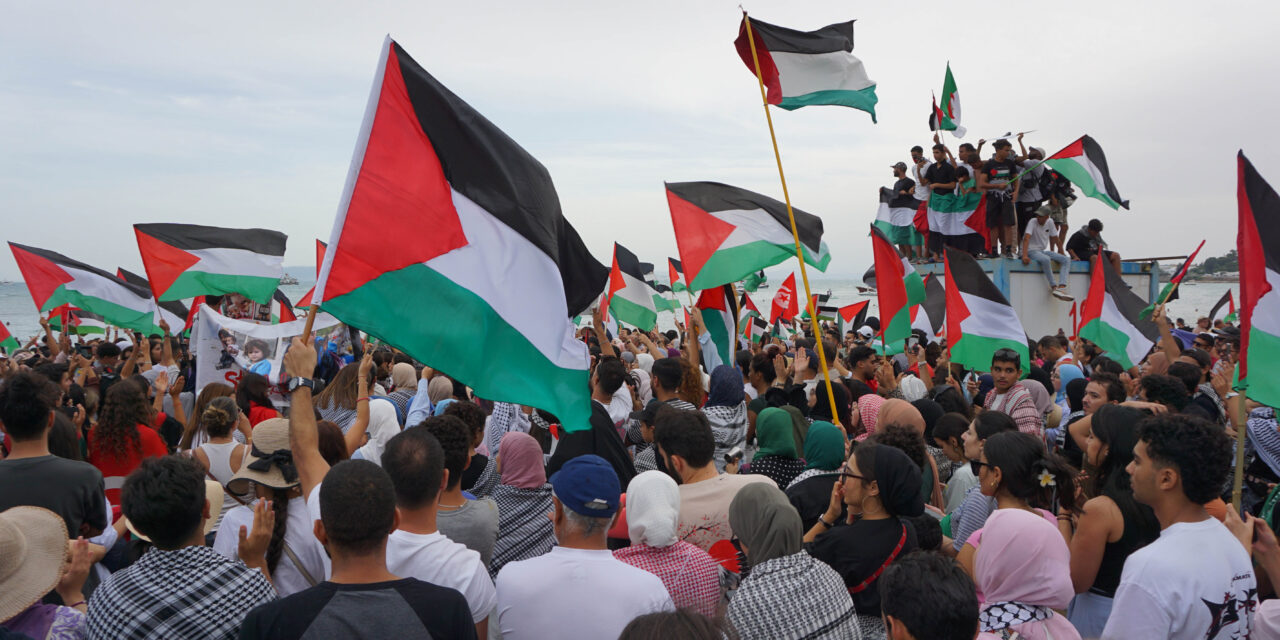 Pour Gaza et pour les flottilles, mobilisons-nous !