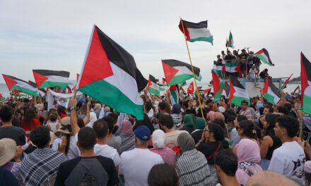 Pour Gaza et pour les flottilles, mobilisons-nous !