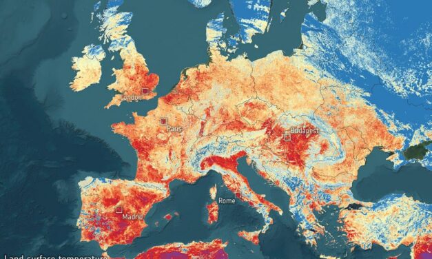 Deux réflexions sur la canicule et la décroissance écosocialiste