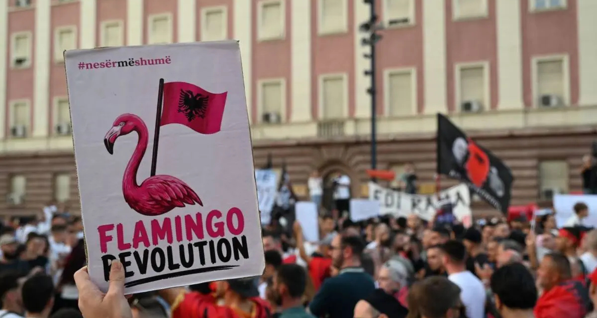 Bataille pour le territoire albanais: ce que révèle la «Révolution des flamants roses»