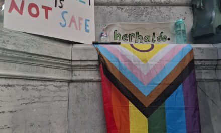 Solidarité avec les luttes LGBTI+ de Turquie !